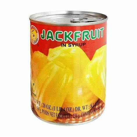 Tas Jackfruit in Syrup 565g